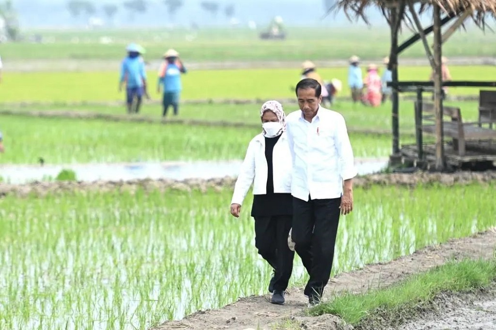 Meski demikian, Presiden berharap impor beras ini tidak mengganggu harga gabah kering panen di tingkat petani.