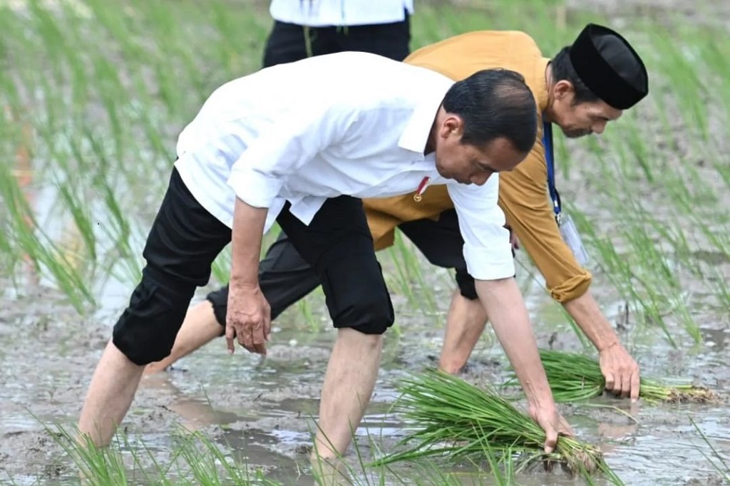 Presiden Joko Widodo menyebutkan impor beras sebesar 2 juta ton yang ditugaskan kepada Perum Bulog bertujuan memperkuat cadangan BUMN tersebut dalam menghadapi fenomena cuaca El Nino atau musim kering.