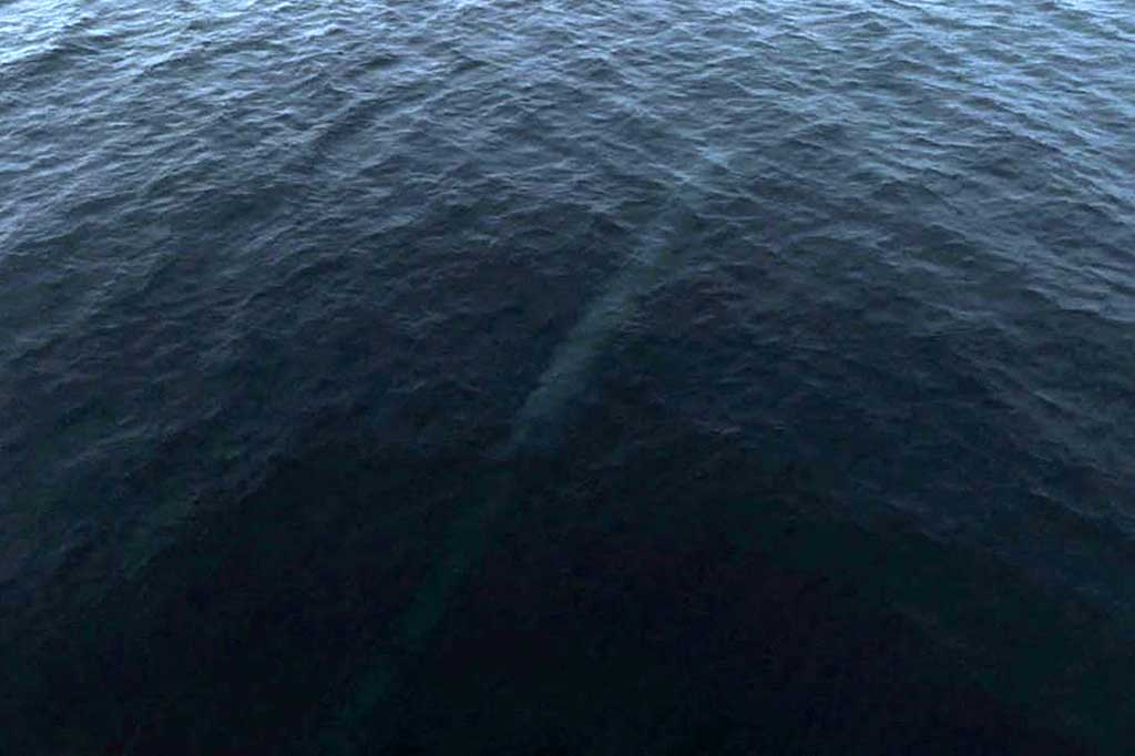 KCNA menambahkan bahwa uji hulu ledak secara akurat diledakkan di bawah air. Tes tersebut dengan sempurna membuktikan keandalan sistem senjata strategis bawah air dan kemampuan serangannya yang fatal.