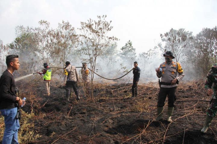 Kebakaran hutan dan lahan (karhutla) di perbatasan Kota Dumai dan Kabupaten Bengkalis, Provinsi Riau, sejak 19 April 2023 diperkirakan sudah mencapai 50 hektar, tepatnya di Desa Pelintung, Dumai dan Desa Tanjung Leban, Kabupaten Bengkalis.