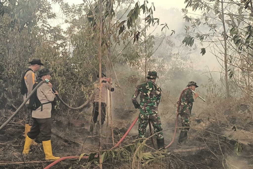 Petugas, kata Setyo Bimo Anggoro, juga masih berharap dukungan Tim Modifikasi Cuaca (TMC) dari pihak pemerintah terkait untuk membantu upaya pemadaman ini, mengingat areal lahan yang terbakar cukup luas dan tanahnya terdiri dari lahan gambut sehingga menyulitkan upaya pemadaman dan pendinginan.