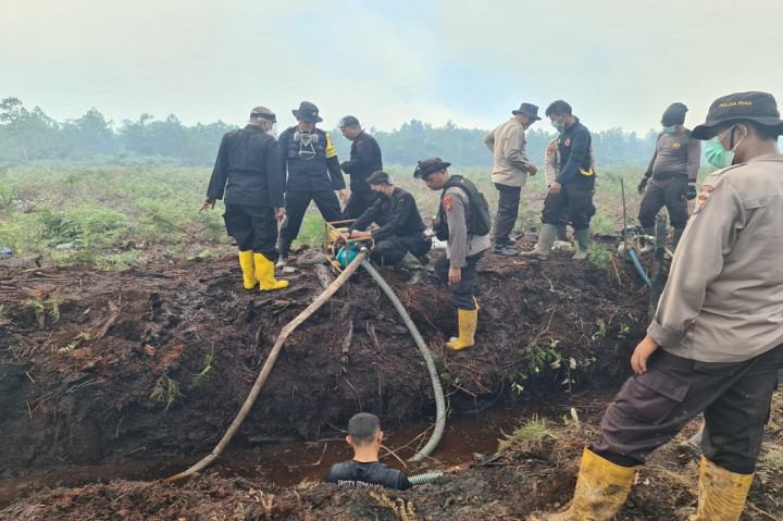 Sementara itu, Pelaksana Tugas Fire Operational Management PT Arara Abadi Jhon Pasaribu mengatakan pihaknya telah menurunkan dua helikopter untuk water bombing dan patroli yaitu jenis Superpuma dan jenis Bell 412 PK.