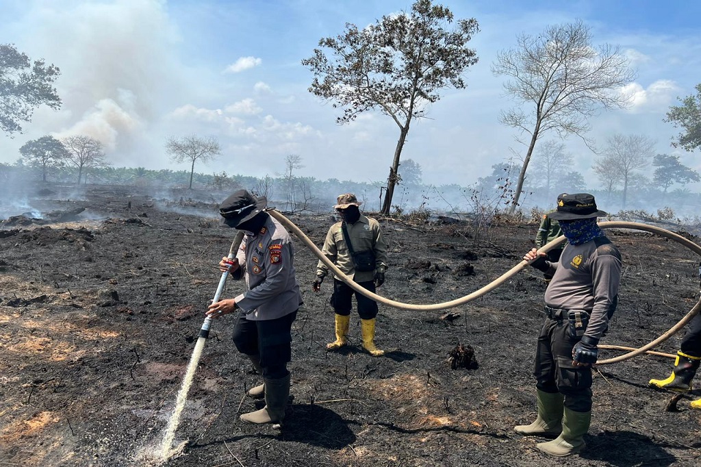 Pengerahan helikopter itu untuk membantu memadamkan karhutla di lokasi yang berjarak 6-7 km dari batas luar konsesi Mitra Usaha APP Sinar Mas di perbatasan Kota Dumai dan Bengkalis yaitu di Desa Tanjung Leban (Kabupaten Bengkalis) dengan Desa Pelintung (Kota Dumai).
