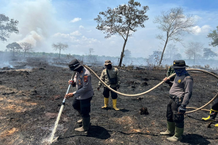 Pengerahan helikopter itu untuk membantu memadamkan karhutla di lokasi yang berjarak 6-7 km dari batas luar konsesi Mitra Usaha APP Sinar Mas di perbatasan Kota Dumai dan Bengkalis yaitu di Desa Tanjung Leban (Kabupaten Bengkalis) dengan Desa Pelintung (Kota Dumai).