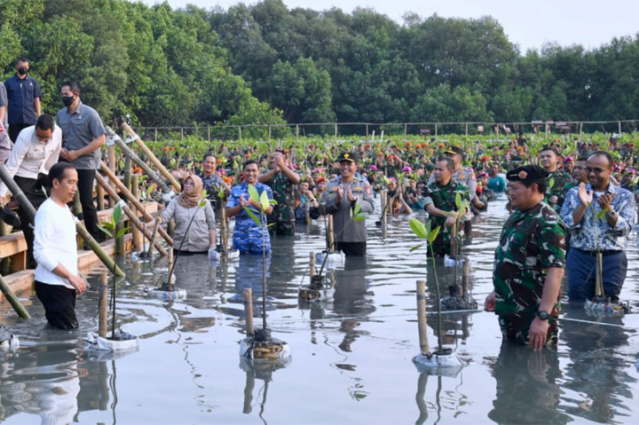 Presiden Joko Widodo 'nyemplung' untuk menanam pohon mangrove dalam acara Puncak Penanaman Mangrove Nasional di Taman Wisata Alam Mangrove, Angke Kapuk, Jakarta Utara, Senin, 15 Mei 2023.
