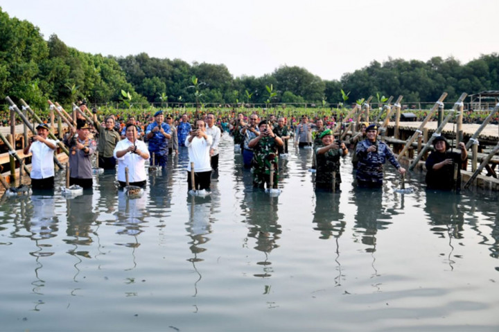 Bersama pejabat terkait lainnya, Jokowi 'nyemplung' ke hutan bakau dengan kedalaman sekitar 1 meter tersebut.