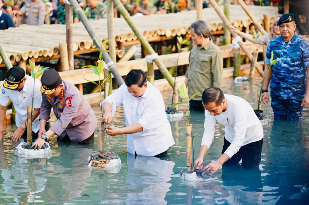 Menurut Presiden Jokowi, acara itu dilaksanakan di seluruh Tanah Air demi menjaga habitat hutan mangrove. 