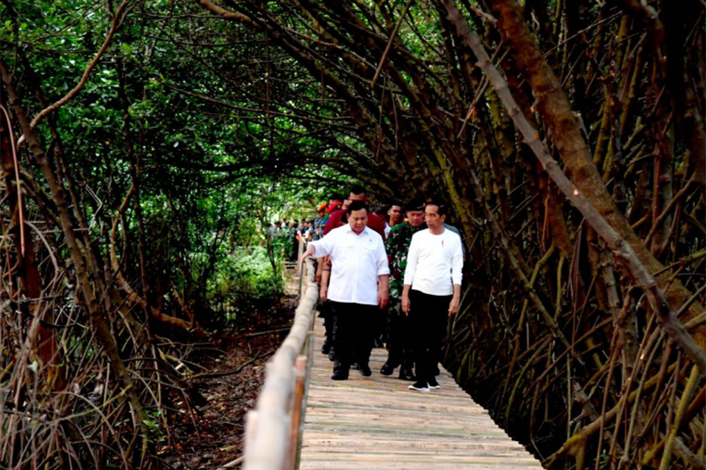 Jumlah tersebut meliputi oleh Angkatan Darat di 231 lokasi penanaman dengan 572.669 bibit, oleh Angkatan Laut di 79 lokasi penanaman dengan 443.700 bibit dan oleh Angkatan Udara di 60 lokasi penanaman dengan 83.800 bibit.