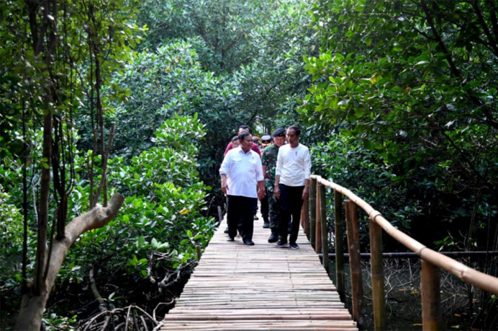 Penanaman Mangrove Nasional secara serentak oleh jajaran TNI di seluruh Indonesia Tahun 2023 di 370 lokasi penanaman dengan 1.100.169 jumlah bibit merupakan salah satu pemecahan Rekor MURI.