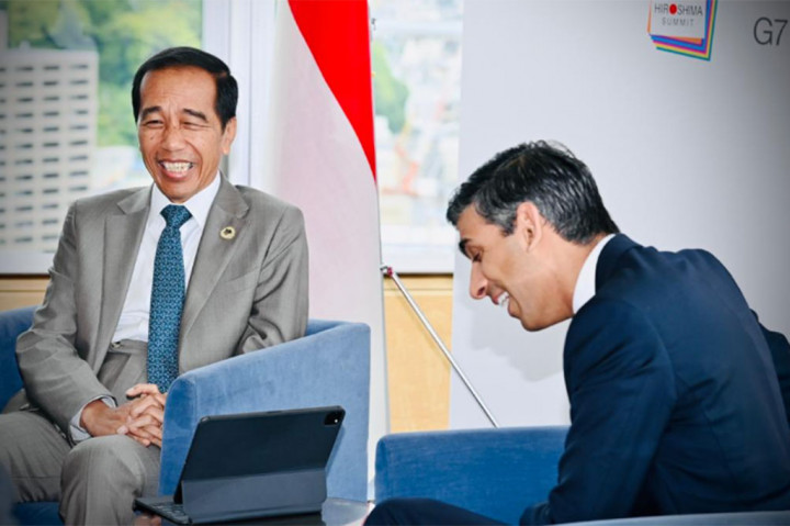 Jokowi menyampaikan kepada PM Sunak agar Inggris lekas merealisasi komitmen dalam Just Energy Transition Partnership, pembangunan ekosistem kendaraan listrik (EV), termasuk pasokan sel baterai dan pembangunan micro factory EV, serta investasi pembangunan IKN, transportasi, energi hijau, dan pendidikan.