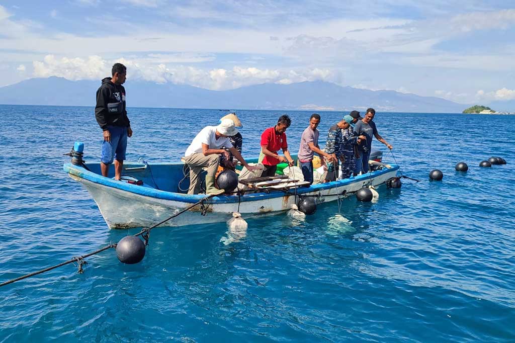 Tercatat 20.000 bibit kerang disebarkan di perairan Desa Binaan Lanal Maumere tepat di Desa Kojadoi, Kecamatan Alok Timur, Kabupaten Sikka, Nusa Tenggara Timur, Sabtu, 27 Mei 2023.