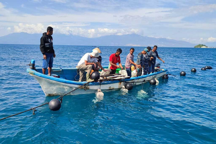 Tercatat 20.000 bibit kerang disebarkan di perairan Desa Binaan Lanal Maumere tepat di Desa Kojadoi, Kecamatan Alok Timur, Kabupaten Sikka, Nusa Tenggara Timur, Sabtu, 27 Mei 2023.