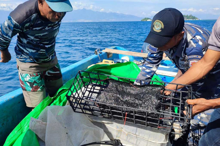Selain penanaman bibit kerang mutiara di Desa Binaan Lanal Maumere di Desa Kojadoi, Dharmawan mengaku penanaman bibit kerang mutiara ini juga dilakukan di area Mako Lanal Maumere sebagai upaya mensejahterakan para Prajurit Lanal Maumere.