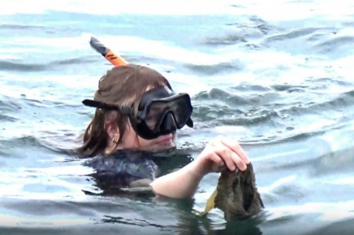 Memperingati hari lingkungan hidup sedunia yang jatuh pada hari ini, puluhan warga negara asing bersama komunitas membersihkan samaph di pantai Bahari Polewali Mandar, Sulawesi Barat. Aksi ini dilakukan sebagai eduasi kepada masyarakat agar tidak lagi membuang sampah sembarangan dan tetap menjaga kebersihan lingkungan sekitar.