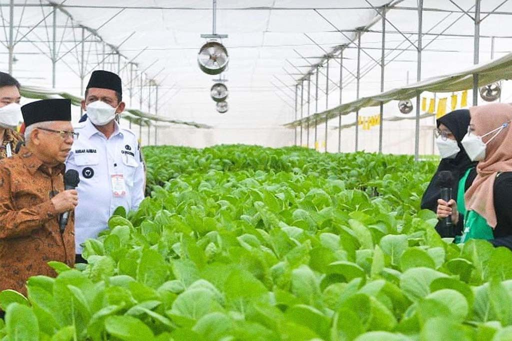 Berdasarkan penjelasan Chief Operating Officer (COO) Batamindo Green Farm Agustiadi Lee, bahwa saat ini permintaan ekspor dari Singapura akan komoditas pertanian khususnya sayuran hidroponik sangat tinggi dan belum sepenuhnya terpenuhi.