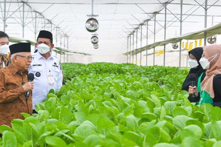 Berdasarkan penjelasan Chief Operating Officer (COO) Batamindo Green Farm Agustiadi Lee, bahwa saat ini permintaan ekspor dari Singapura akan komoditas pertanian khususnya sayuran hidroponik sangat tinggi dan belum sepenuhnya terpenuhi.