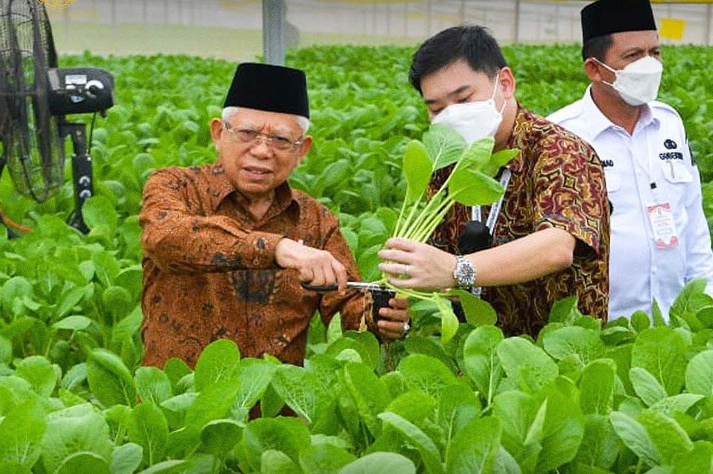 Mengawali kunjungan kerjanya di Provinsi Kepulauan Riau (Kepri), Wapres beserta Ibu Wury Ma'ruf Amin didampingi Gubernur Kepri beserta Ibu Hj. Dewi Komalasari Ahmad meninjau Batamindo Green Farm yang berlokasi di Tiban South Link, Kota Batam, Rabu, 7 Juni 2023.