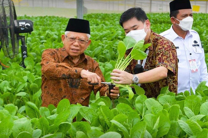 Mengawali kunjungan kerjanya di Provinsi Kepulauan Riau (Kepri), Wapres beserta Ibu Wury Ma'ruf Amin didampingi Gubernur Kepri beserta Ibu Hj. Dewi Komalasari Ahmad meninjau Batamindo Green Farm yang berlokasi di Tiban South Link, Kota Batam, Rabu, 7 Juni 2023.