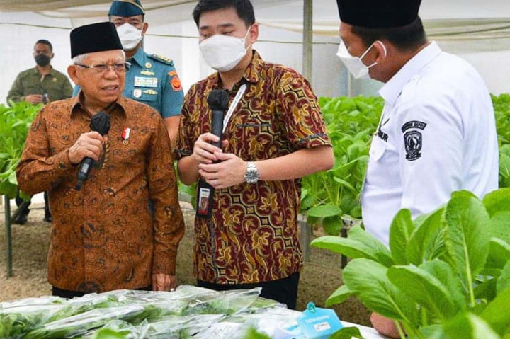 Untuk itu, Wapres Ma'ruf Amin berharap dengan meningkatkan keterlibatan masyarakat di Kepri, kita dapat memenuhi potensi pasar tersebut. Bahkan menurut Wapres, bukan hanya sayuran hidroponik, tapi juga komoditas pertanian lainnya termasuk peternakan. 