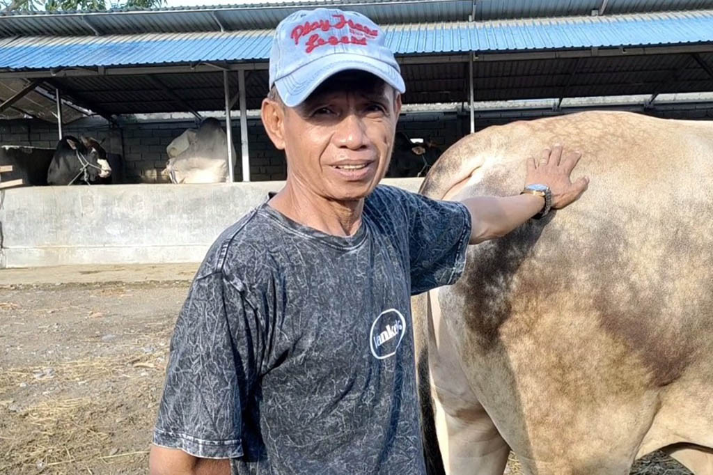 Disbunak Sulteng yang mendapat mandat dari Sekretariat Kepresidenan mulai dari seleksi hewan hingga perawatan, juga memberikan perhatian khusus kepada Arjuna.