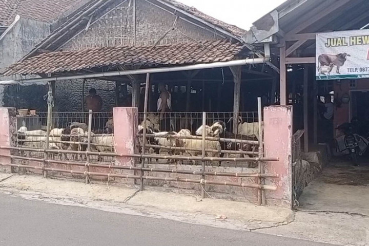 Harga jual hewan kurban terutama harga domba di Kabupaten Lebak, Banten, mengalami kenaikan hingga lima ratus ribu rupiah per ekor dari harga biasanya. Kenaikan terjadi seiring banyaknya permintaan hewan kurban jelang Hari Raya Idul Adha.