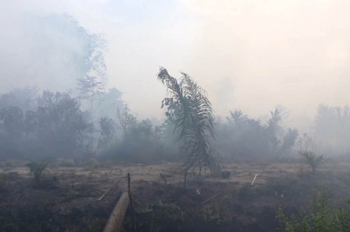 Kemarau dan kekeringan yang melanda kawasan Nagan raya sejak sebulan terakhir mengakibatkan kebakaran hutan dan lahan terjadi di kawasan itu. Kebakaran lahan terjadi di sejumlah titik di Kecamatan Darul Makmur dan  masih belum berhasil di padamkan.