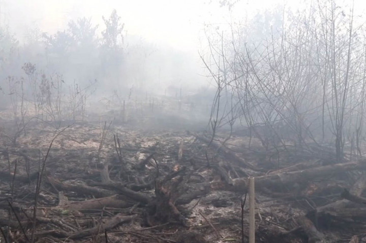 Upaya pemadaman terus dilakukan oleh tim gabungan dengan mengerahkan pompa air ke lokasi kebakaran. Namun karena cuaca panas dan banyaknya daun-daunan dan ranting kayu yang kering membuat api dengan cepat merambat dan mengakibatkan kebakaran terus meluas.