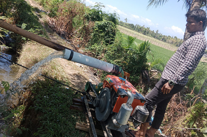 Ratusan hektare lahan sawah di kawasan Kabupaten Pidie, Provinsi Aceh, terancam puso (gagal panen). Hal itu karena sejak sebulan terakhir di kawasan itu tidak turu hujan.