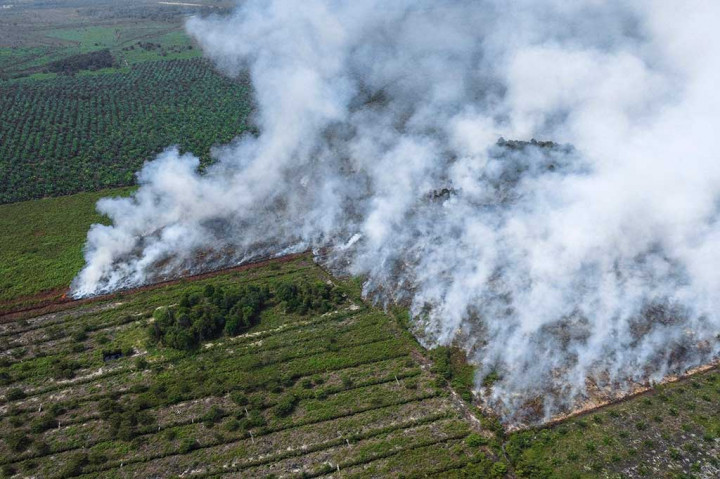 Kebakaran hutan dan lahan di Kabupaten Nagan Raya, Provinsi Aceh memasuki hari ke-11, Jumat, 23 Juni 2023, dan hingga kini dilaporkan belum bisa dipadamkan.