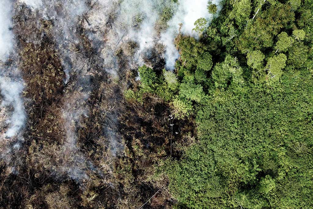 Menurut data media center BPBA yang merupakan laporan BPBD Nagan Raya, luas lahan terbakar terus bertambah, dan hingga kini telah mencapai 21,5 hektare yang tersebar di tiga kecamatan.