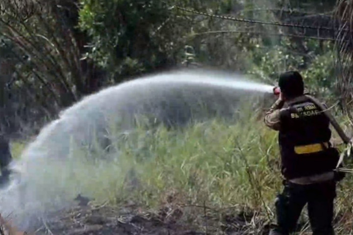 Kebakaran lahan ini terjadi di Suaka Margasatwa Giam Siak Kecil, Kecamatan Pinggir, Kabupaten Bengkalis. Kawasan gambut yang terdiri dari semak belukar musnah dilalap api.