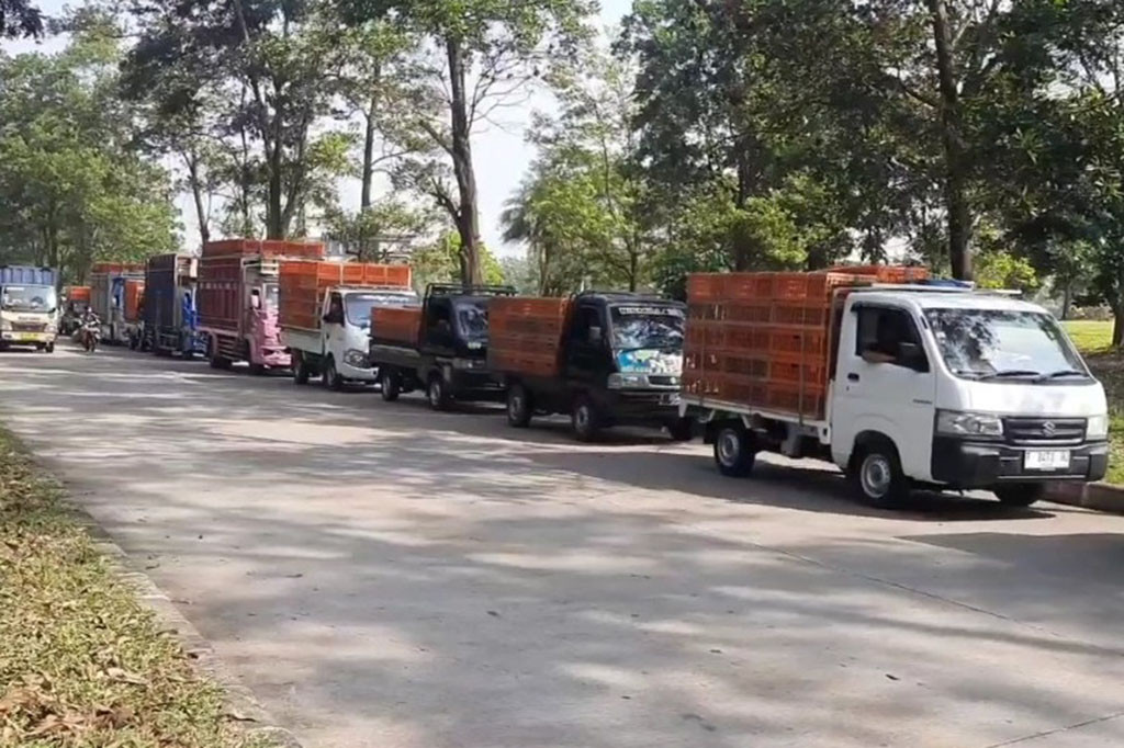 Ratusan pengusaha ayam potong di Purwakarta Jawa Barat melakukan aksi protes, Senin, 26 Juni 2023, akibat tingginya harga ayam potong, yang tak kunjung turun. Mereka melakukan aksi mogok dengan tidak mengirimkan pasokan ayam ke pasar, dan memilih memarkirkan armada pengiriman ayam di Kawasan Industri Bukit Indah Purwakarta.