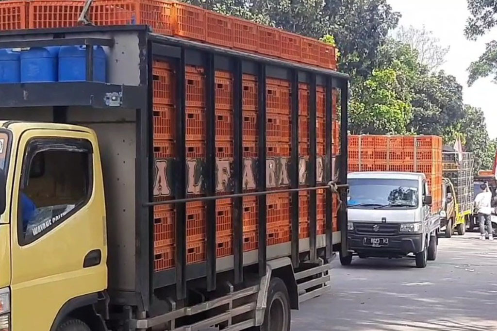 Usai berkumpul di kawasan BIC Purwakarta,ratusan kendaraan pengangkut ayam milik pelaku usaha ayam potong, dari wilayah Subang Purwakarta dan Cikampek ini, akan langsung bergerak ke gedung DPR RI mereka akan menyampaikan tuntutan, agar harga ayam potong bisa kembali turun dan stabil.