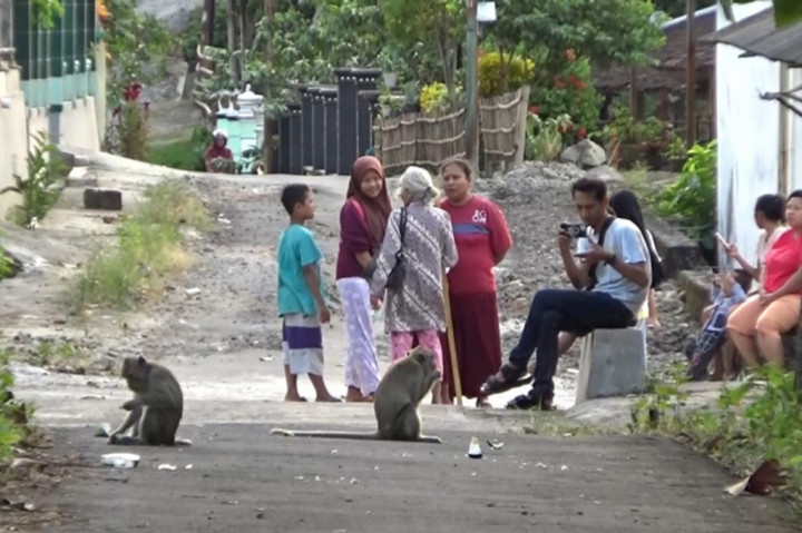 Warga sejumlah desa di kawasan Batu Seribu, Kecamatan Bulu, Kabupaten Sukoharjo selama hampir sebulan terakhir ini mulai resah dengan serbuan kawanan monyet, yang datang untuk mengambil berbagai jenis makanan.