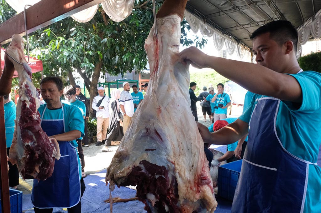 “Kegiatan penyembelihan hewan kurban rutin dilakukan Pangansari Group setiap Hari Raya Iduladha. Ini adalah sebagai bentuk solidaritas dan kepedulian terhadap sesama ummat manusia, terutama bagi yang kurang beruntung,” kata Wawan.