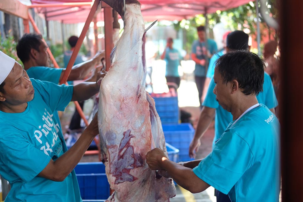 Division Head of Human Resources PT Pangansari Group, Wawan Sasongko, mengatakan, belasan sapi kurban diantaranya disembelih langsung di Kantor Pusat Pangansari di Ciracas, Jakarta Timur dan sejumlah unit usaha di Jakarta dan daerah. Sapi kurban diniatkan atas nama karyawan secara bergiliran dan daging kurban disumbangkan untuk warga sekitar, karyawan dan sejumlah yayasan anak yatim.