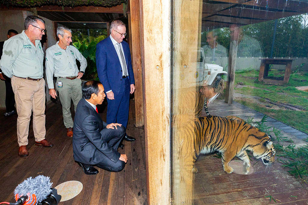 Penampilan anak-anak tersebut rupanya mampu mencairkan suasana sore itu menjadi lebih hangat. Presiden Jokowi sesekali ikut bernyanyi sambil menggerakan tangan mengikuti gerakan yang dilakukan oleh anak-anak.