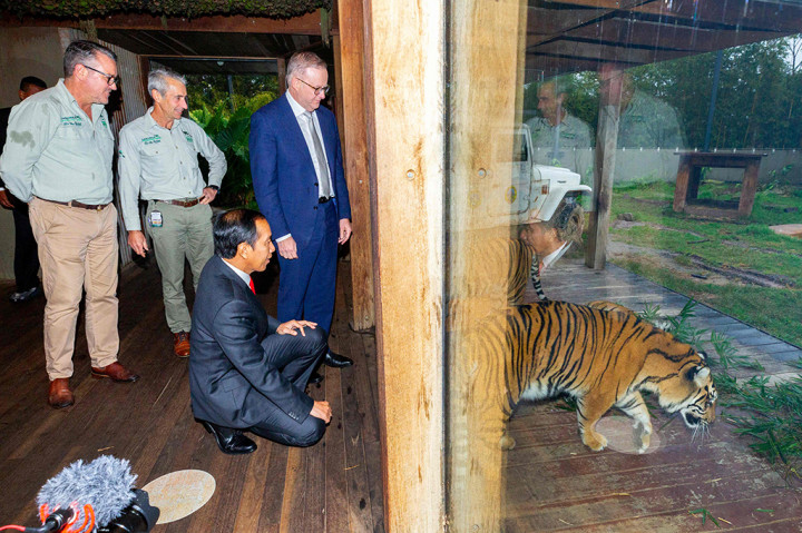 Penampilan anak-anak tersebut rupanya mampu mencairkan suasana sore itu menjadi lebih hangat. Presiden Jokowi sesekali ikut bernyanyi sambil menggerakan tangan mengikuti gerakan yang dilakukan oleh anak-anak.