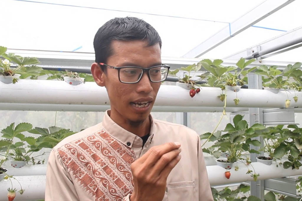 Nasruddin juga menambahkan bahwa, selain karena prospek hidroponik sangat menjanjikan, ia mengajak generasi muda untuk mencintai dunia pertanian dan membuktikan jika bertani sukses tidak selamanya membutuhkan lahan dan kebun luas.