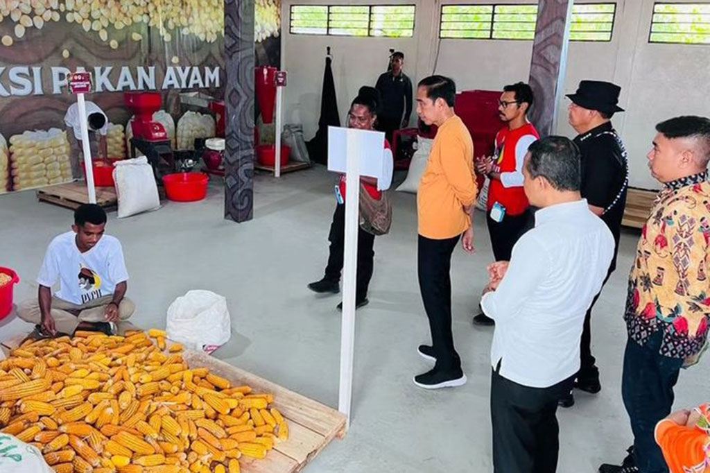 “Baik mengenai packaging, baik mengenai hidroponik, baik mengenai pemeliharaan ayam, peternakan ayam, baik juga mengenai perikanan, kemudian pembuat makanan ternak, makanan ikan, semuanya diadakan training—pelatihan di sini,” ujar Presiden.