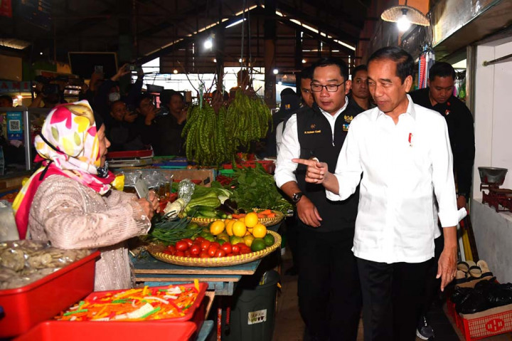 Mengetahui harga bawang yang sedang naik, Presiden Jokowi memberikan tanggapan dan harapan agar harga bawang kembali normal secepatnya. “Baik, mudah-mudahan normal lagi harganya ke depannya,” tutur Rizal menirukan ucapan Presiden Jokowi.