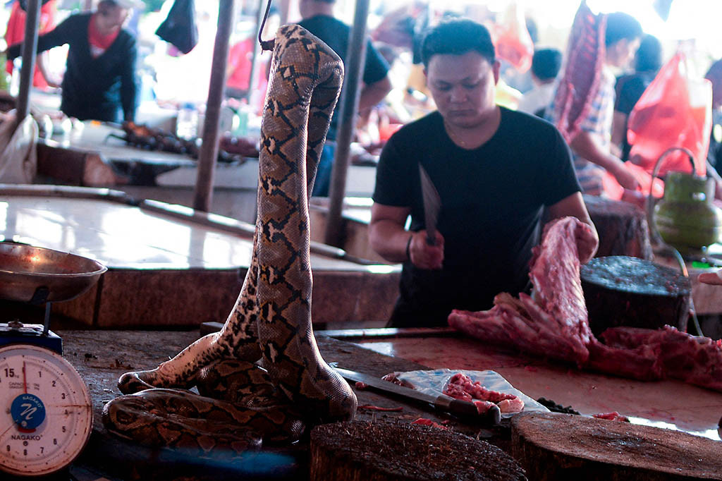 Pasar hewan Indonesia yang terkenal telah menghentikan penjualan daging anjing dan kucing setelah bertahun-tahun mendapat tekanan aktivis untuk menghentikan perdagangan dan metode penyembelihannya yang brutal, menurut para juru kampanye.