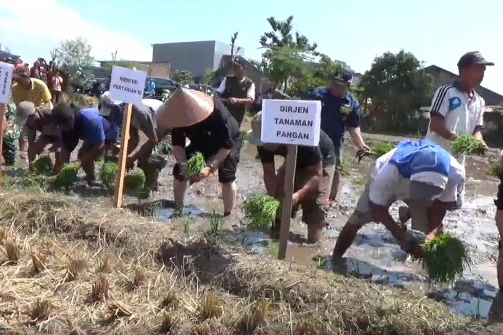Menteri Pertanian, Syahrul Yasin Limpo, Sabtu, 22 Juli 2023, menggelar gerakan tanam padi di Desa Maradekaya, Kecamatan Bajeng, Kabupaten Gowa, Sulawesi Selatan, untuk mengantisipasi dampak el nino. Setelah pesta panen, harus langsung tanam. Sehingga tiada hari tanpa tanam, untuk percepatan.