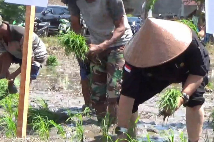 Percepatan tanam ini sebagai antisipasi dampak el nino yang mengancam di depan mata. Tiap daerah, harus jadi starting agar menjadi awal yang lebih kuat menyerap sisa-sisa air yang dan sebelum kemarau panjang terjadi.