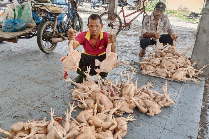 Setelah anjlok harga ayam kampung (ayam lokal) sejak sebulan terakhir akibat daya beli konsumen berkurang, kini kondisi serupa juga melanda pasar ayam potong (ayam pedaging) di kawasan Provinsi Aceh. Permintaan ayam potong yang sebelumnya ramai, kini berubah menjadi sepi dan terjadi anjlok harga luar biasa.