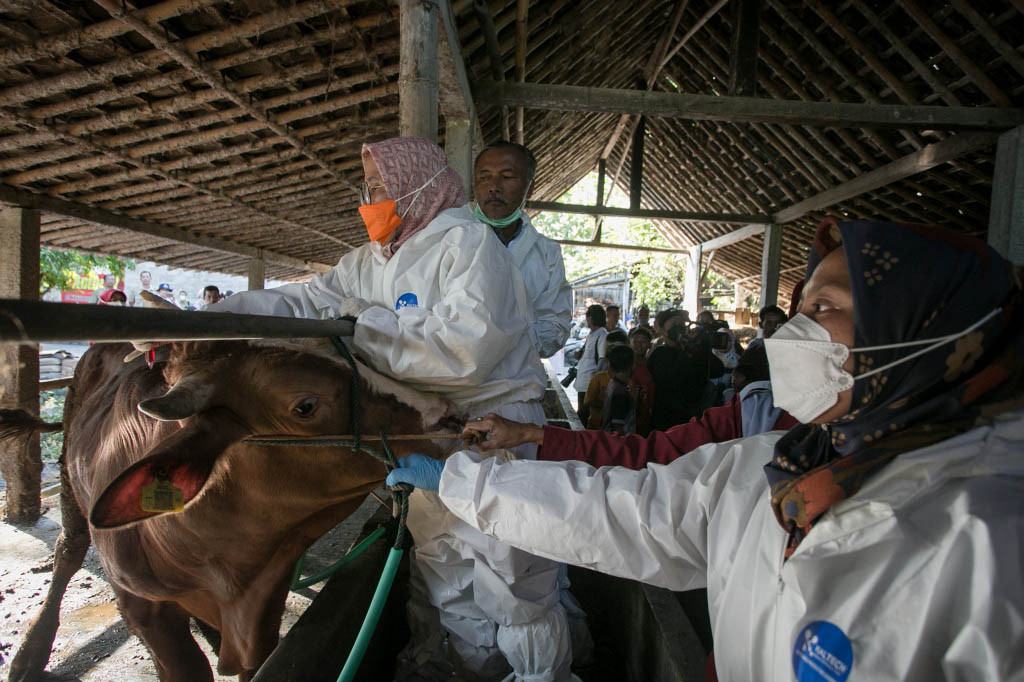 Disnakperla, lanjut dia, mendorong masyarakat untuk waspada dan paham tentang apa itu penyakit atraks, khususnya bagi para peternak. Penyikapan seperti itu akan memudahkan Pemkab mengambil langkah dan tindakan, jika persoalan di tetangga itu melebar ke wilayah Wonogiri.