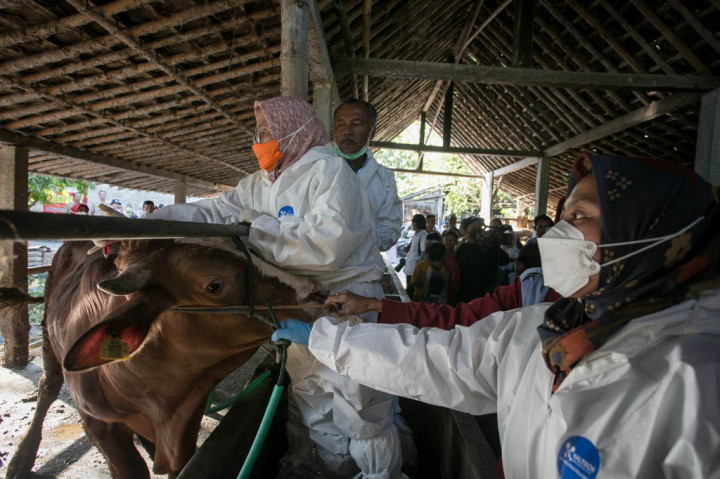 Disnakperla, lanjut dia, mendorong masyarakat untuk waspada dan paham tentang apa itu penyakit atraks, khususnya bagi para peternak. Penyikapan seperti itu akan memudahkan Pemkab mengambil langkah dan tindakan, jika persoalan di tetangga itu melebar ke wilayah Wonogiri.