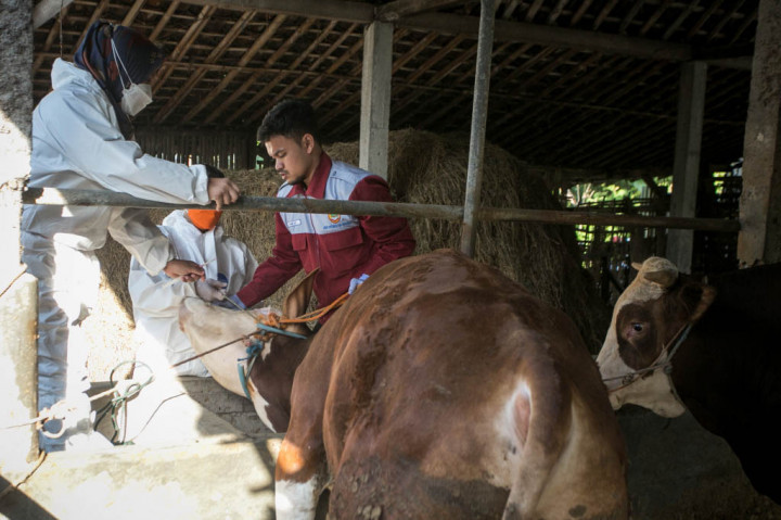 Menurut dia, Disnakperla Wonogiri, terkait kasus di Gunung Kidul, langsung membuat laporan kepada Bupati Joko Sutopo, serta berkoordinasi dengan Dinas Peternakan dan Kesehatan Hewan (Disnakkeswan) Jawa Tengah, untuk membuat antisipasi efektif agar wabah tidak merembet masuk ke wilayah Wonogiri.
