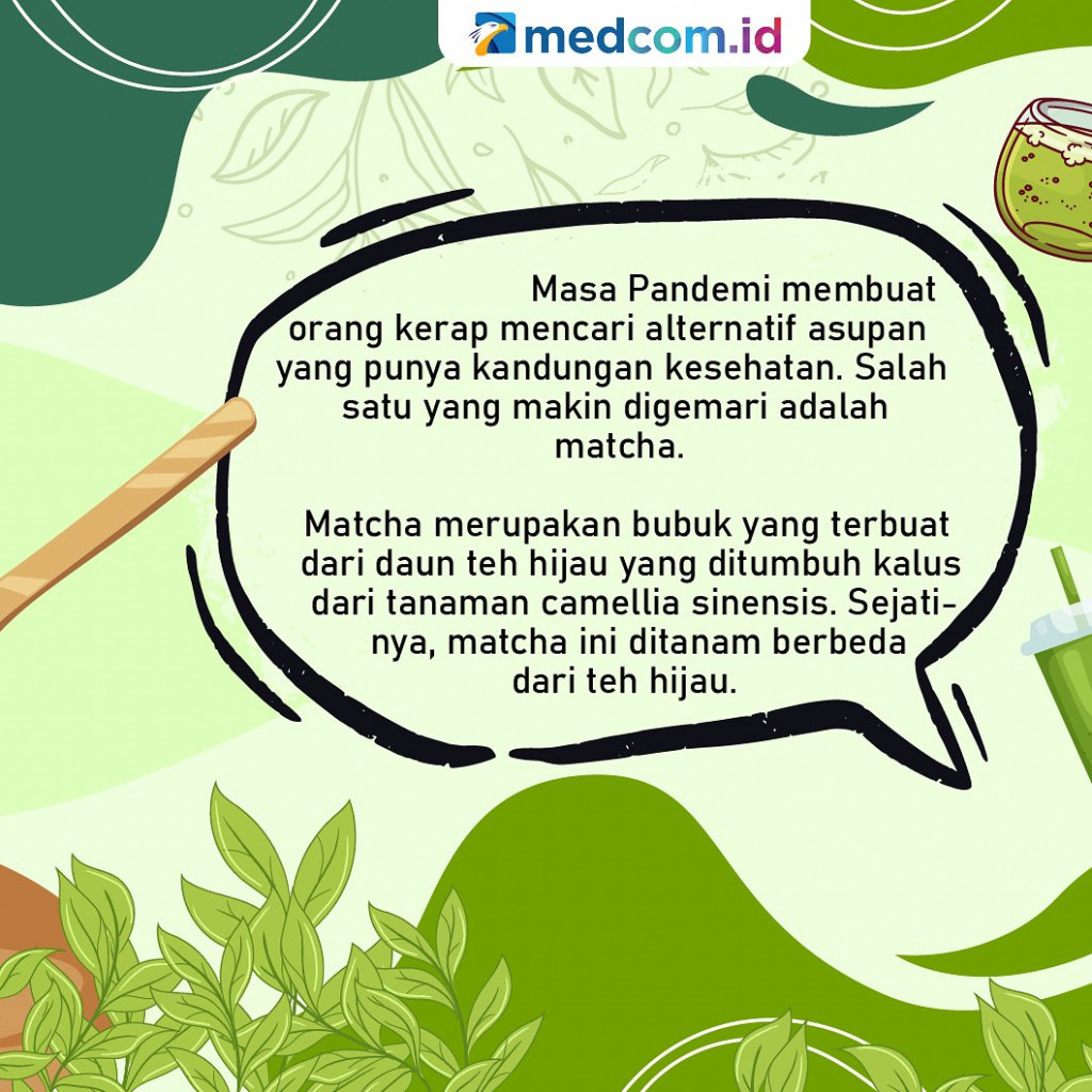 Banyak yang Suka! Matcha Latte untuk Kamu yang Vegetarian