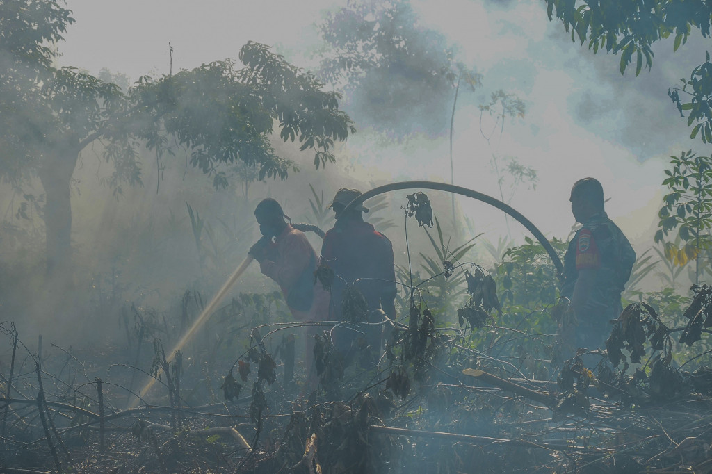 Menurut dia, api karhutla di Gurun Panjang tersebut sudah padam, akan tetapi saat ini masih tersisa dua daerah lagi yang dilanda karhutla, yakni Kabupaten Rokan Hilir dan Pelalawan. Petugas masih berjibaku melakukan pemadaman di Desa Teluk Bano, Kecamatan Bangko Pusako dan di Desa Rantau Bais, Kecamatan Tanah Putih, Kabupaten Rokan Hilir (Rohil).